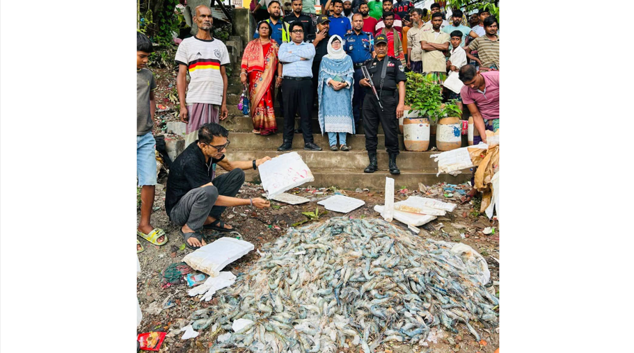 নরসিংদীতে চিংড়ি মাছে জেলী মেশানোর দায়ে পাইকারী ব্যবসায়ীকে জরিমানা